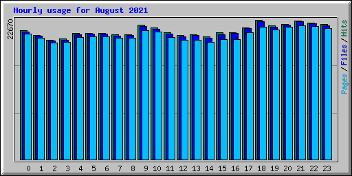 Hourly usage for August 2021