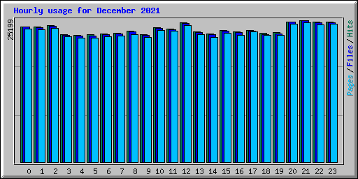 Hourly usage for December 2021